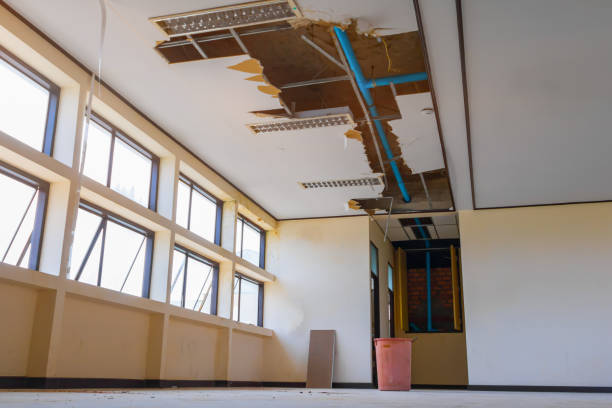 Best Fire Damage Restoration  in Shawnee Hills, OH