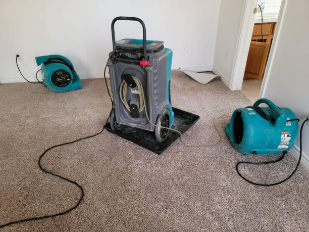Best Flooded house restoration  in Shawnee Hills, OH