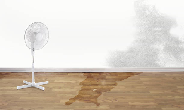 Best Flood restoration services  in Shawnee Hills, OH