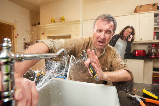 Best Water damage cleanup near me  in Shawnee Hills, OH